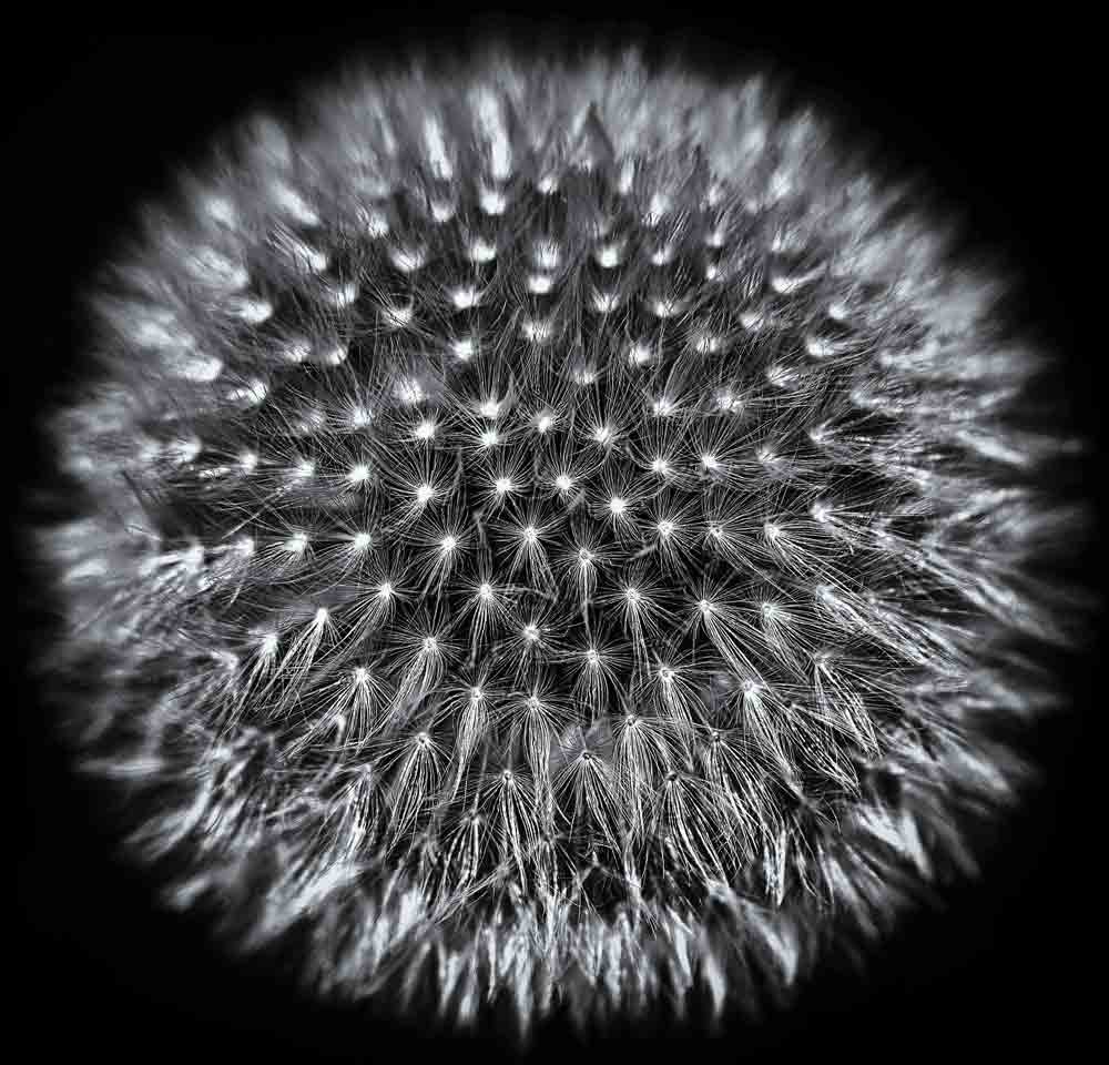 Autonomy at Every Level