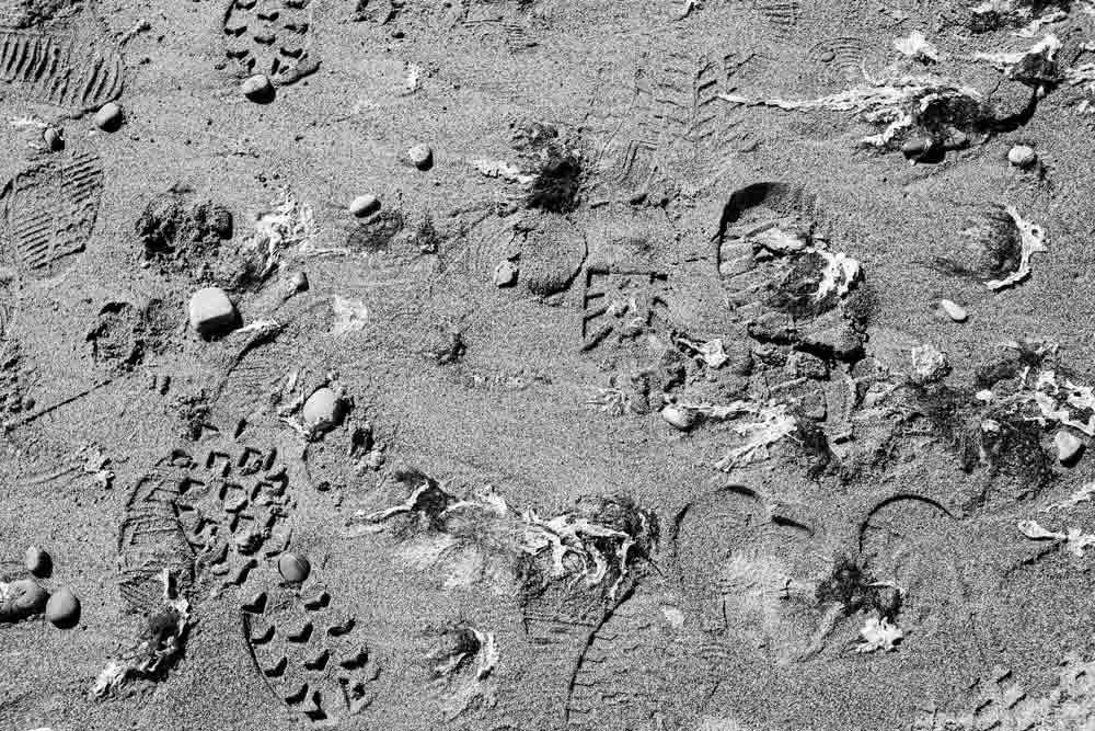 Human-Validated Output