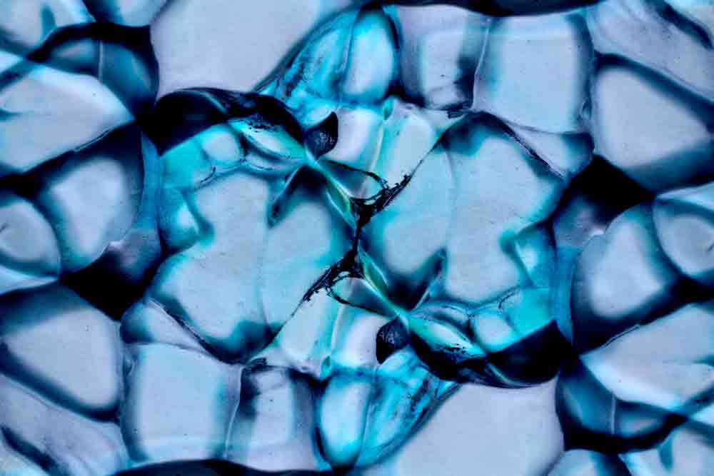 Powerwrap Trading Platform