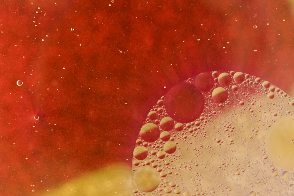 RMIT Online digital learning case study