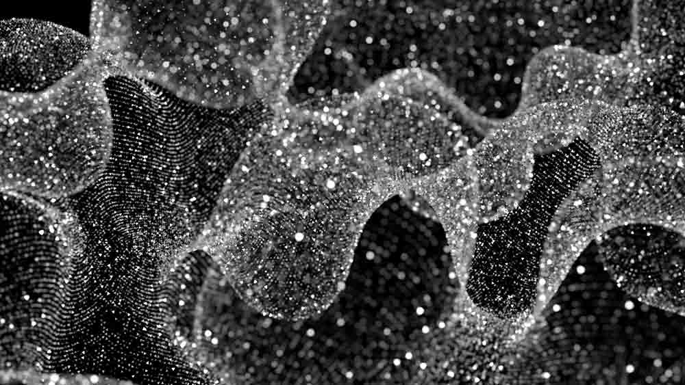 Silk Contract Logistics case study