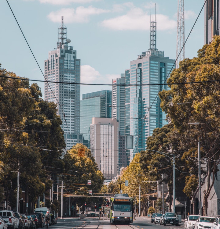 City street view with tram traveling along a tree lined street with Melbourne CBD in the background. 